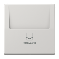Накладка карточного выключателя Jung LS серия серый HOTELCARD LS590CARDLG LS590CARDLG  фото | Capital Power - инженерные системы