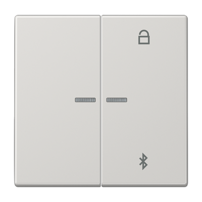 Таймер Jung LS серия светло-серый универсальный Bluetooth LS1751BTLG LS1751BTLG  фото | Capital Power - инженерные системы