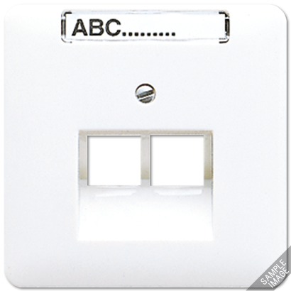 Накладка Jung CD серия Бежевый 2-ой наклонной ТЛФ/комп розетки с полем для надписи 569-2NAUA 569-2NAUA  фото | Capital Power - инженерные системы