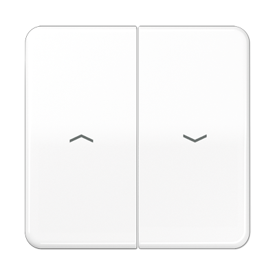 Клавиша Jung CD серия белая 2-я жалюзийная CD595PBFWW CD595PBFWW  фото | Capital Power - инженерные системы