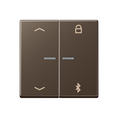 Таймер универсальный Jung A серия мокко Bluetooth «стрелки» A1751PBTMO A1751PBTMO  фото | Capital Power - инженерные системы