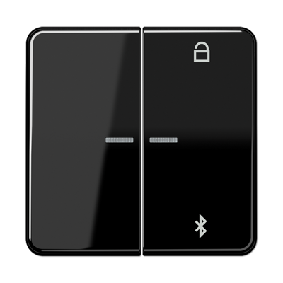 Таймер Jung CD серия черный универсальный Bluetooth CD1751BTSW CD1751BTSW  фото | Capital Power - инженерные системы