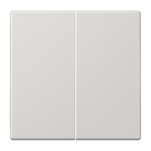 Клавиша Jung LS серия Светло-серый 2-я LS995LG LS995LG  фото | Capital Power - инженерные системы