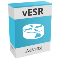Виртуальный сервисный маршрутизатор vESR vESR BASIC+  фото | Capital Power - инженерные системы