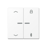 Таймер универсальный Jung A серия белоснежный матовый Bluetooth «стрелки» A1751BFPBTWWM A1751BFPBTWWM  фото | Capital Power - инженерные системы