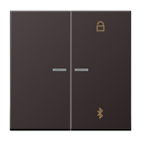 Таймер Jung LS серия Dark универсальный Bluetooth AL1751BTD AL1751BTD  фото | Capital Power - инженерные системы