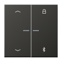 Таймер Jung LS серия Антрацит универсальный Bluetooth «стрелки» AL1751PBTAN AL1751PBTAN  фото | Capital Power - инженерные системы