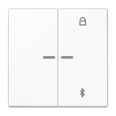 Таймер Jung LS серия белый универсальный Bluetooth LS1751BTWW LS1751BTWW  фото | Capital Power - инженерные системы