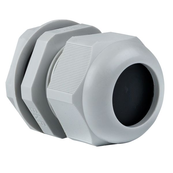 Сальник PG25 IP54 (20 шт) d отв, 31 мм / d провод, 16-21 мм EKF PROxima PLC-PG-25-R  фото | Capital Power - инженерные системы
