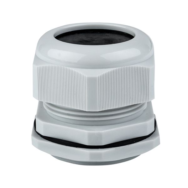 Сальник PG42 IP54 (20 шт) d отв, 53 мм / d провод, 32-38 мм EKF PROxima PLC-PG-42  фото | Capital Power - инженерные системы