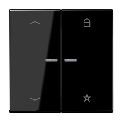 Центральная плата Jung LS серия черная универсальная «стрелки» LS1701PSW LS1701PSW  фото | Capital Power - инженерные системы