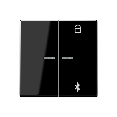Таймер универсальный Jung A серия черный Bluetooth A1751BFBTSW A1751BFBTSW  фото | Capital Power - инженерные системы