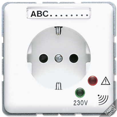 Розетка Jung CD серия светло-серая SCHUKO 16А 250V~ с защитой от перенапряжения CD521KINAUFLG CD521KINAUFLG  фото | Capital Power - инженерные системы