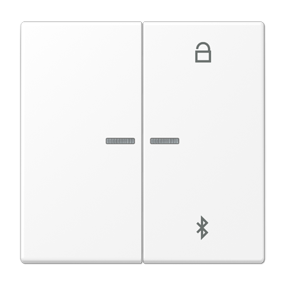 Таймер Jung LS серия белоснежный матовый универсальный Bluetooth LS1751BTWWM LS1751BTWWM  фото | Capital Power - инженерные системы