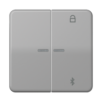 Таймер Jung CD серия серый универсальный Bluetooth CD1751BTGR CD1751BTGR  фото | Capital Power - инженерные системы