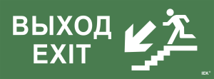 Этикетка самоклеящаяся 350х130мм "Выход/лестница вниз/фигура" IEK LPC10-1-35-13-VLVNF  фото | Capital Power - инженерные системы
