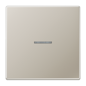 Клавиша Jung LS серия Edelstahl 1-я с/п ES2990KO5 ES2990KO5  фото | Capital Power - инженерные системы