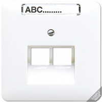 Накладка Jung CD серия Бежевый 2-ой наклонной ТЛФ/комп розетки с полем для надписи 569-2NAUA 569-2NAUA  фото | Capital Power - инженерные системы