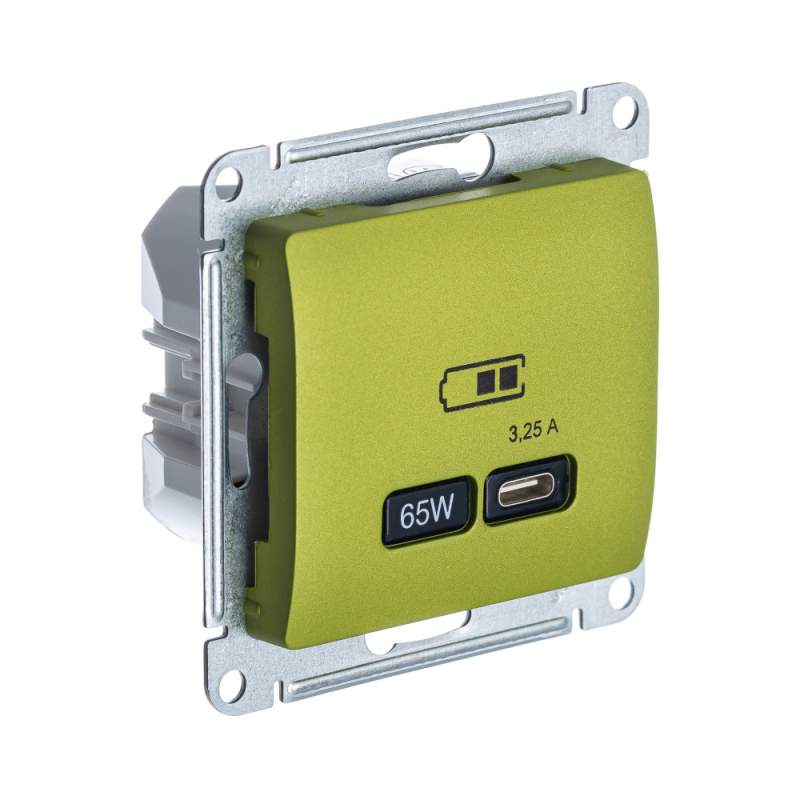 Розетка USB Systeme Electric серии Glossa тип-C 65Вт высокоскор.заряд. QC, PD, механизм, ФИСТАШКОВЫЙ GSL001027  фото | Capital Power - инженерные системы