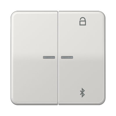 Таймер Jung CD серия светло-серый универсальный Bluetooth CD1751BTLG CD1751BTLG  фото | Capital Power - инженерные системы