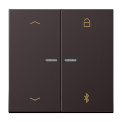Таймер Jung LS серия Dark универсальный Bluetooth «стрелки» AL1751PBTD AL1751PBTD  фото | Capital Power - инженерные системы