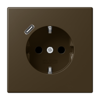 Розетка Jung LS серия Латунь антик SCHUKO® с USB-интерфейсом с 1 USB-портом типа A LS серия Латунь антик ME1520-18CAT-L ME1520-18CAT-L  фото | Capital Power - инженерные системы