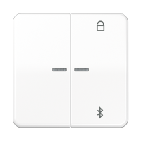 Таймер Jung CD серия белый универсальный Bluetooth CD1751BTWW CD1751BTWW  фото | Capital Power - инженерные системы
