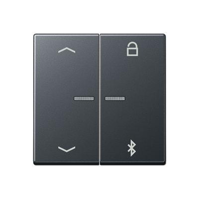 Таймер универсальный Jung A серия матовый антрацит Bluetooth «стрелки» A1751BFPBTANM A1751BFPBTANM  фото | Capital Power - инженерные системы