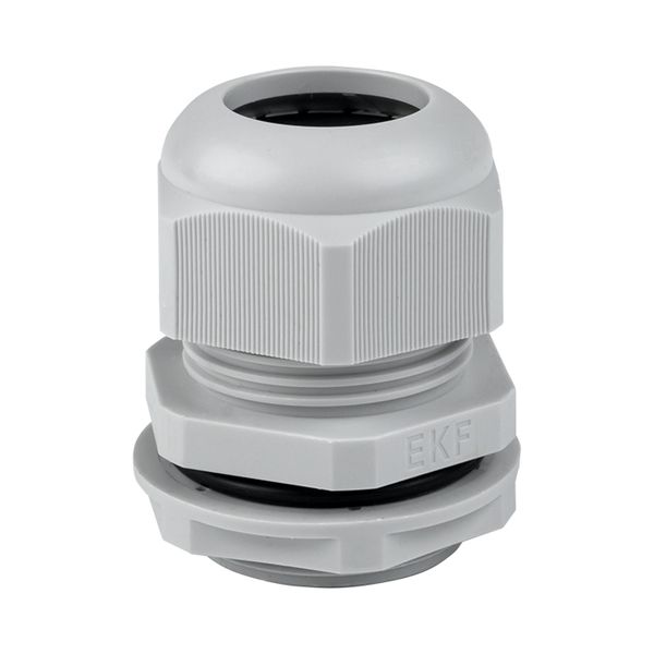 Сальник PG25 IP54 (20 шт) d отв, 31 мм / d провод, 16-21 мм EKF PROxima PLC-PG-25-R  фото | Capital Power - инженерные системы