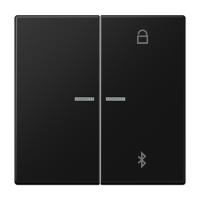 Таймер Jung LS серия матовый чёрный графит универсальный Bluetooth LS1751BTSWM LS1751BTSWM  фото | Capital Power - инженерные системы