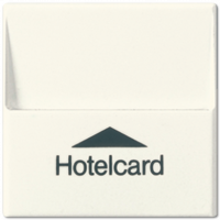 Накладка Jung A серия слоновая кость карта выключения A590CARD A590CARD  фото | Capital Power - инженерные системы