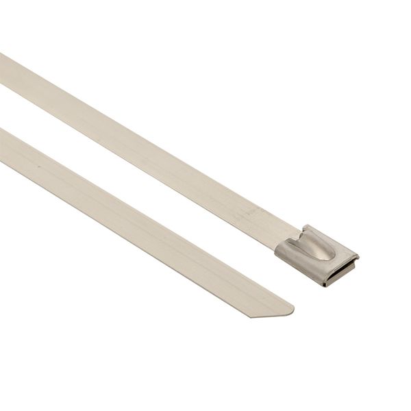 Хомут AISI 304 из нержавеющей стали, 4,6x200 (100 шт,) FlexLock PROxima PLC-FL-TSS-304-4.6X200  фото | Capital Power - инженерные системы