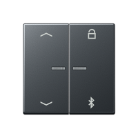 Таймер универсальный Jung A серия матовый антрацит Bluetooth «стрелки» A1751BFPBTANM A1751BFPBTANM  фото | Capital Power - инженерные системы