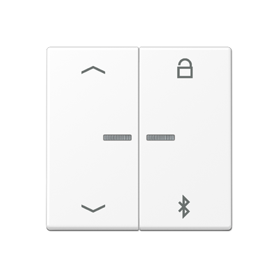 Таймер универсальный Jung A серия белоснежный матовый Bluetooth «стрелки» A1751BFPBTWWM A1751BFPBTWWM  фото | Capital Power - инженерные системы