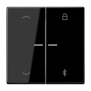 Таймер Jung LS серия черная универсальный Bluetooth «стрелки» LS1751PBTSW LS1751PBTSW  фото | Capital Power - инженерные системы